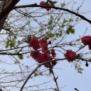 벌막공원 이미지