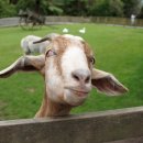 여양농장 이미지