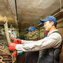 윤창영농조합법인 이미지