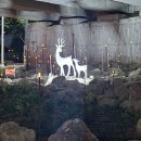 수영강변대로 이미지