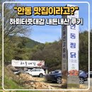 "안동 맛집이라고?" 하회터줏대감 내돈내산 실망 후기