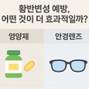 새봄안경원 이미지