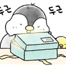 디케이프라임