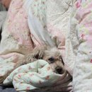 진주지구 전승비 | 25년 12월 일상모음.Zip