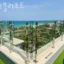 트리플 리조트 Daum카페