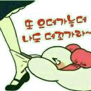 짚시 Daum카페