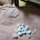 견생냥품 무인24 천안에듀시티점 | 무인 애견용품샵 24시 ‘견생냥품’ 🐶