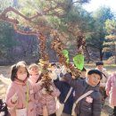 생태랑 놀아볼까 | 우리들 자연학교 11월 21일 서대문 어린이집 가을 체험 다람쥐샘반 수업 후기