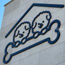 비비&숑숑 반려견펜션 이미지