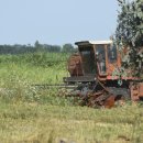 의성중부농협 안평지점 이미지