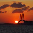 홍도가든 이미지