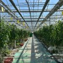 지열농장 이미지