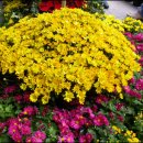 앗~~싸노래방 이미지