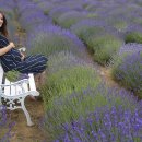 현대병원 산후조리원 이미지