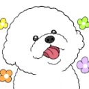 뭉구애견 - 서구 마전로 119 | 뭉구애견
