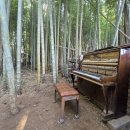 별빛목장 | [제주서귀포 남원]대한목장카페 드넓은 초원에서 탁트인 풍경과 제주말에게 당근한입 추억후기