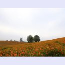 황화목장 이미지