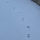 멘토학원 이미지