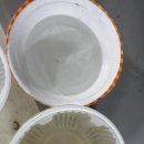 백균약품 네이버블로그