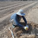 고을농장 이미지