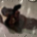 유일에 대한 묵상 | 데이미언 허스트 Damien Hirst