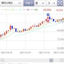 에이스잡주