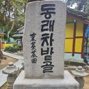 사단법인 한국다도협회 이미지