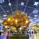 용인시 관광안내소(에버랜드) 이미지