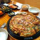 풍성한칼국수 이미지