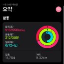 리버스주짓수킥복싱 이미지