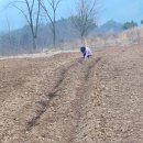 산내참조은 네이버블로그