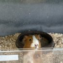 유창가든 이미지