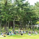 용산미래농장 중앙일보