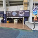013-1 | 부산 사직야구장 에비뉴엘석 직관후기(3루쪽 013블럭 3열 1 ,2번)