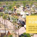 고산자연휴양림 캠핑장 입구 이미지