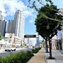 효성 현대2차아파트 티스토리