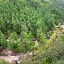 함양스포츠파크 야외족구장 | 공립 태백고원 자연휴양림 (강원도)