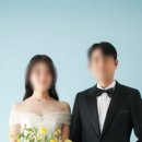 토탈플렌