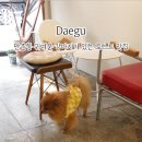 꽁테드빌레(contedeville) 이미지