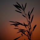 뽑기고수 이미지