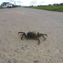 한강농장 이미지