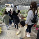 작은동물원 이미지