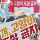 진기제 쿠키뉴스