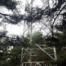 팔공산녹색길 숲길 2코스 이미지