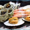 백호상회 이미지