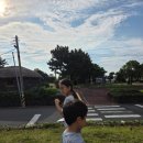 개미인력 제주서귀 | 제주 삼양동유적! 청동기 시대로 돌아가보자~ 2026 제주국가유산 스탬프 찍으러 왔다가 움집 옆 산딸기...