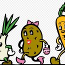 자연식단 이미지