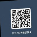 도그스타동물병원 이미지