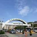 사무실용 건축물(양재동 20-19) | 서울 양재꽃시장 지하꽃상가 어버이날 카네이션 꽃바구니 내돈내산 구매 후기