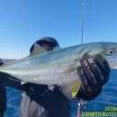 구룡포농업협동조합 이미지